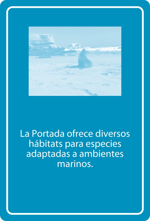 Portada Reverso